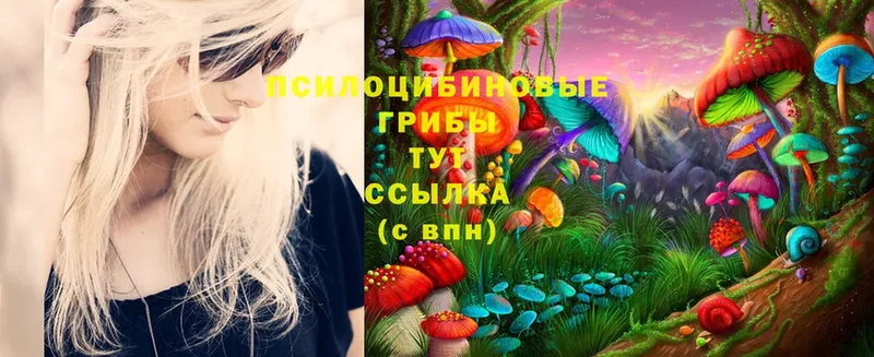 Псилоцибиновые грибы Cubensis  купить наркоту  Валдай 